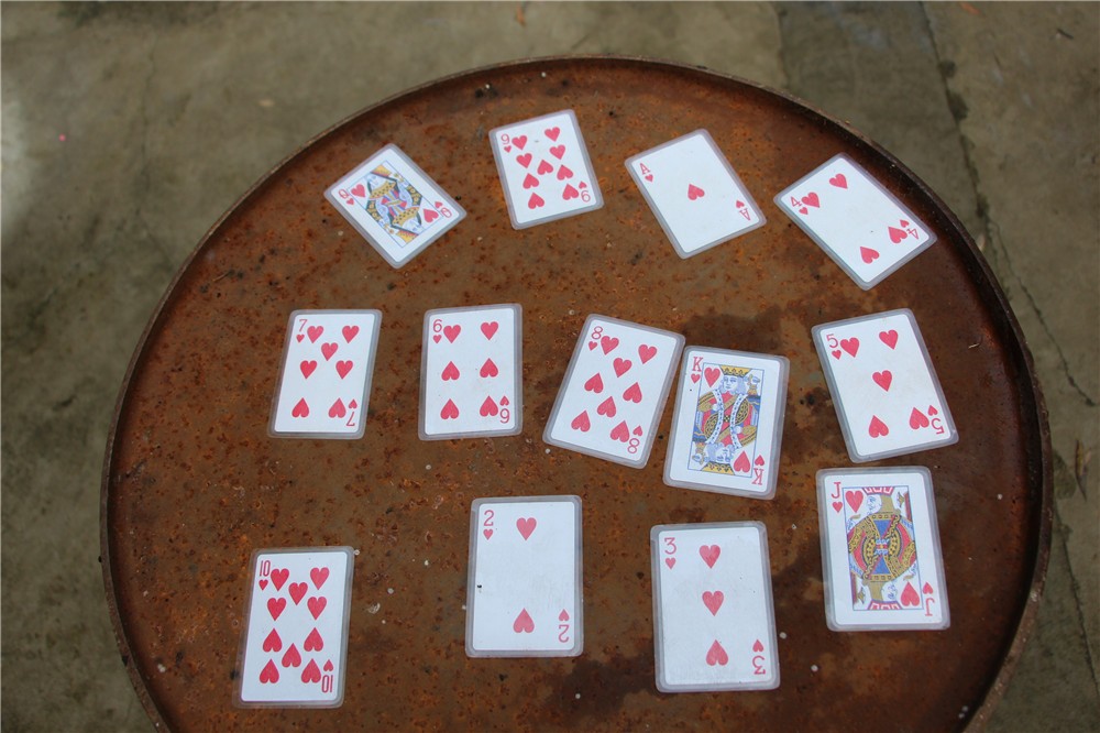 [順義鮮花港]+旅游團(tuán)建一日活動(dòng)