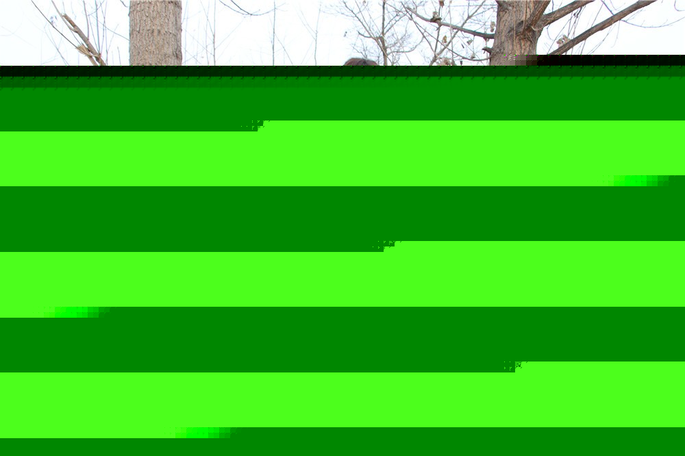 [昌平香堂國(guó)際]+戰(zhàn)狼特訓(xùn)一日活動(dòng)