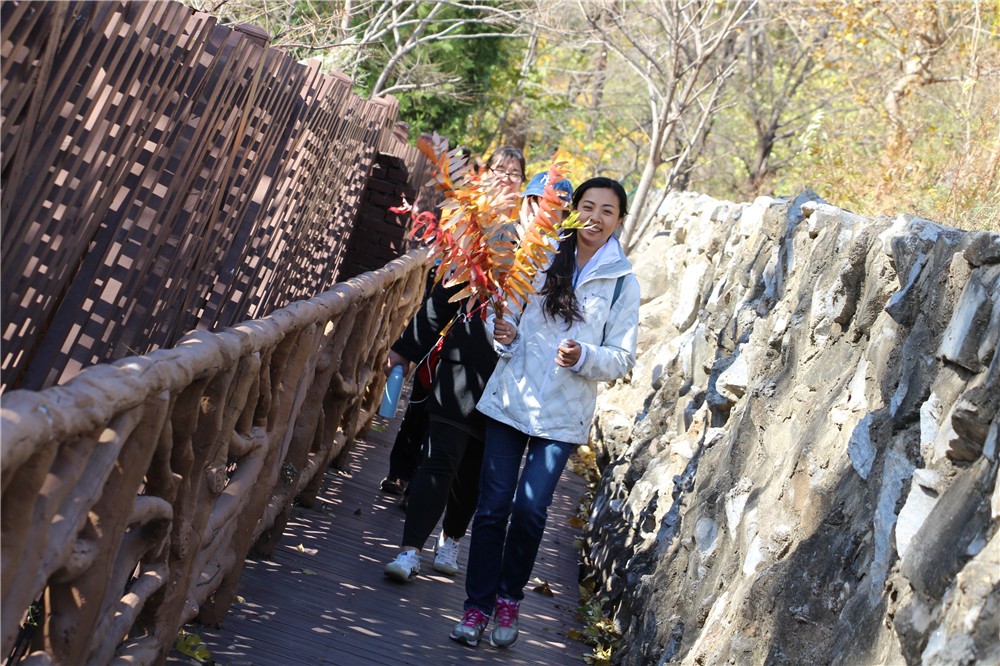 [雄安凱盛國(guó)賓度假村]+白洋淀文化苑場(chǎng)地拓展兩日活動(dòng)