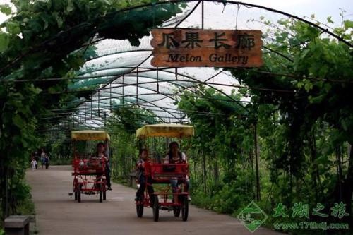 [蘇州太湖綠光農(nóng)場(chǎng)拓展基地]+ 致青春無(wú)悔！一日拓展活動(dòng)