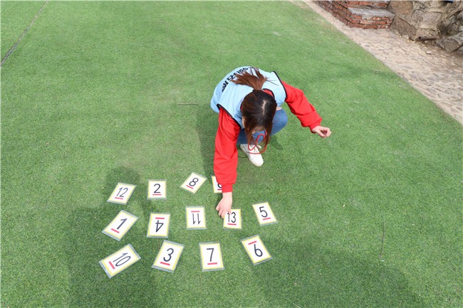 [上海瀏島拓展基地]+旅游團建一日活動