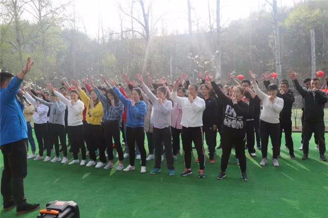 [上海瀏島拓展基地]+旅游團建一日活動