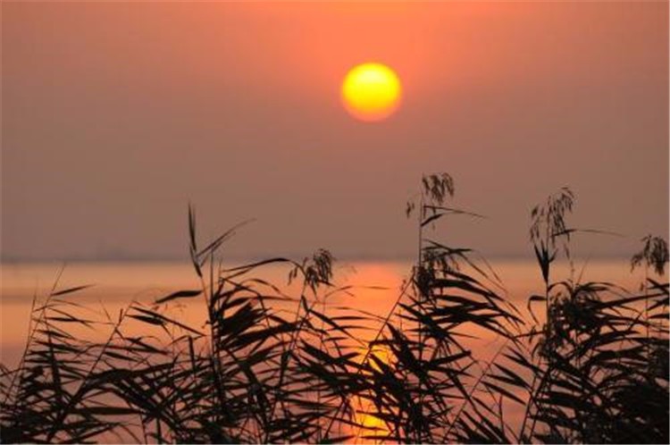 [蘇州太湖三山島野外拓展基地]+戶外徒步一日活動(dòng)