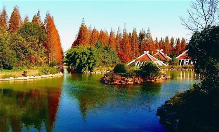 [上海東平森林公園]-主題拓展一日活動