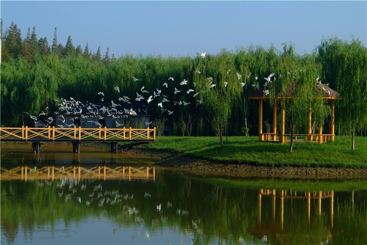 [上海東平森林公園]-主題拓展一日活動