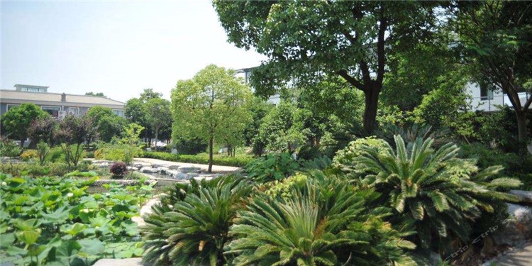 [上海華博生態(tài)拓展基地]+戰(zhàn)狼特訓一日拓展活動